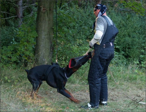 Summer training camp - Jelenec - 2007